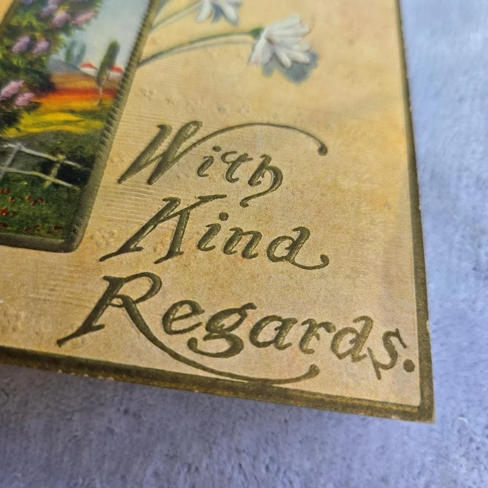 Antique Postcard With Kind Regards‎ Floral Daisies Embossed 1900s Divided Back